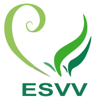 Escola Secundária de Vila Verde